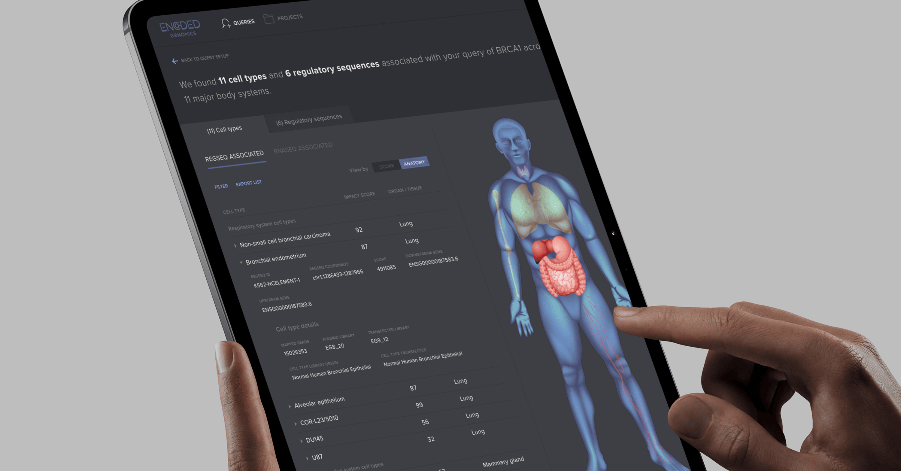 Encoded Genomics — Digital atlas for gene therapy research, visualizing datasets that link regulatory sequences to cell types and body systems.